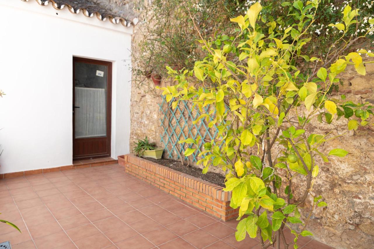 Apartmán Casa Con Patio Andaluz Cerca Del Tajo De Ronda Exteriér fotografie
